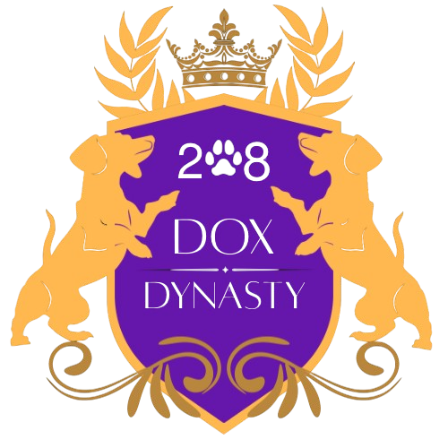 208 Dox Dynasty
