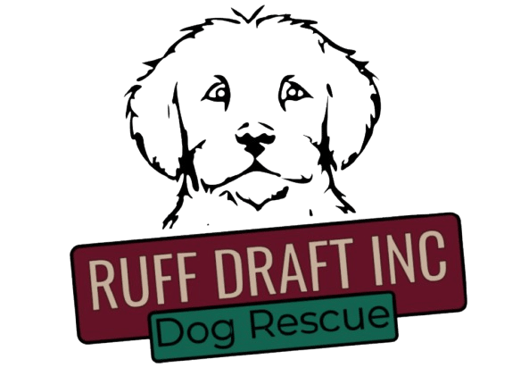 Ruff Draft Inc Dog Rescue