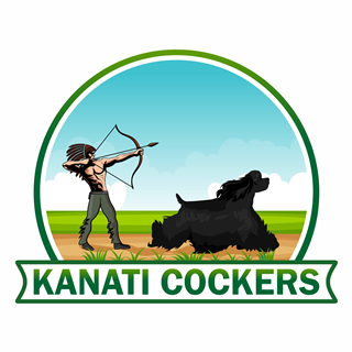 Kanati Cocker Spaniels