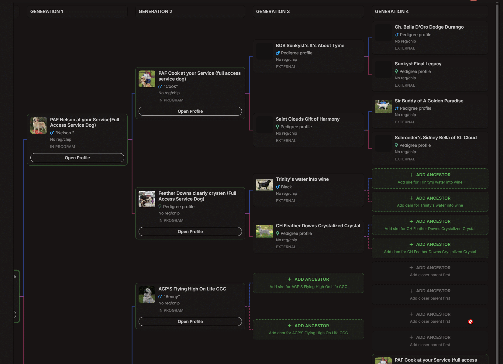 Track your breeding program sires and dams pedigrees automatically with BreederBuddy Dog Breeding Software & App
