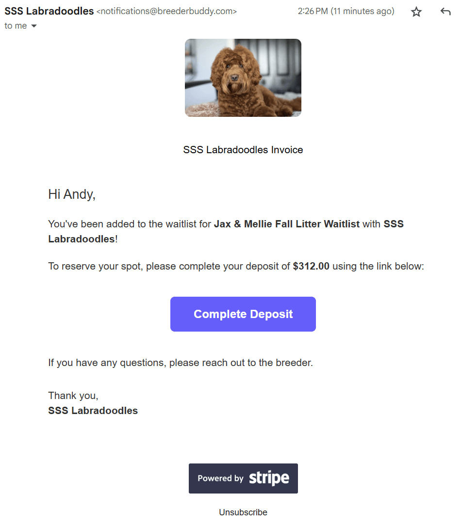 Automated Emails and Invoices Screenshot