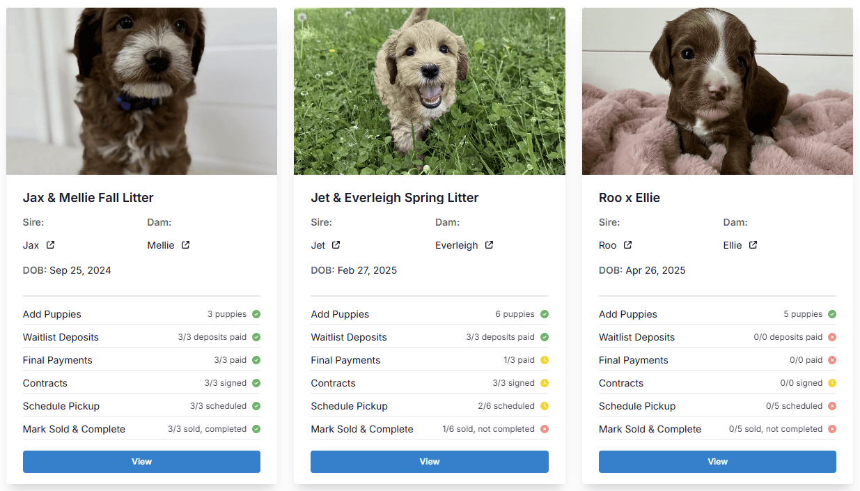 Litter Progress Card Screenshot