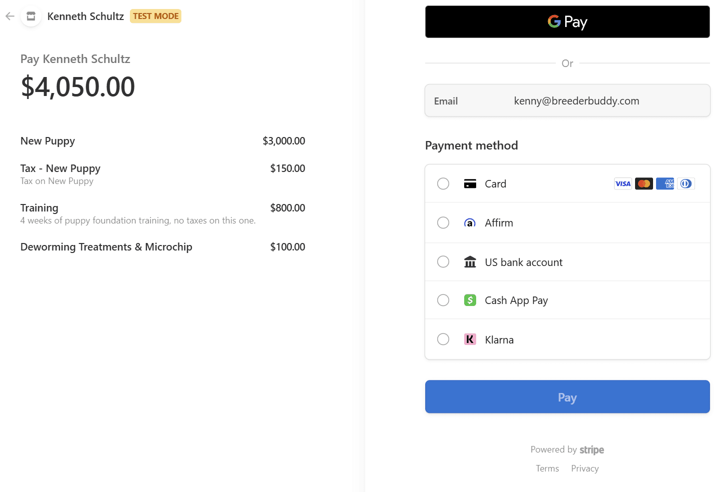 Stripe Payment Checkout Screenshot